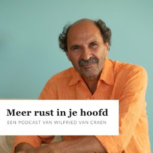 Podcast Meer Rust in je Hoofd - Wilfried Van Craen