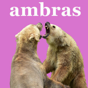 Podcast Ambras